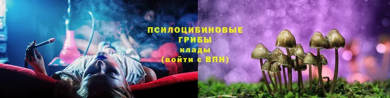 Псилоцибиновые грибы GOLDEN TEACHER  Алексин 